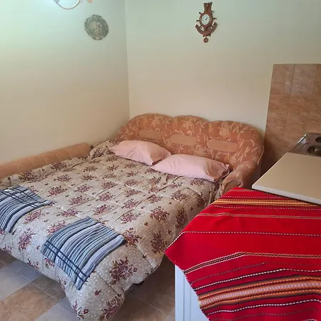 Daniela Guest house