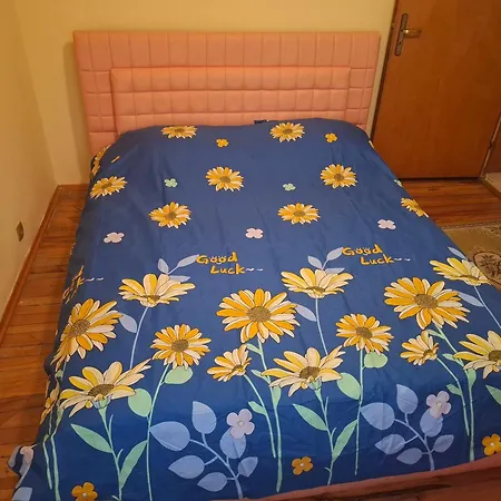Daniela Guest house *